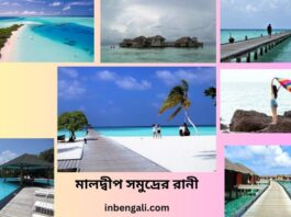 Maldives Facts Bangla