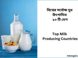 Top Milk Producing Countries in the world